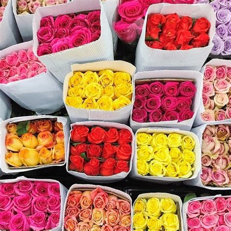 Flower wholesale